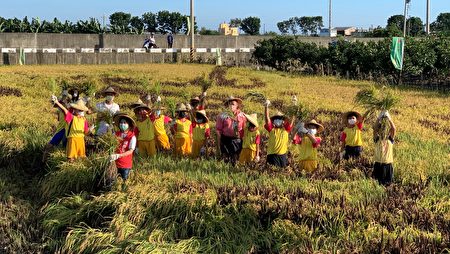 东港镇下廍社区举办“割稻体验稻田飨宴”活动，让参与民众近身享受稻田彩绘的美食飨宴。