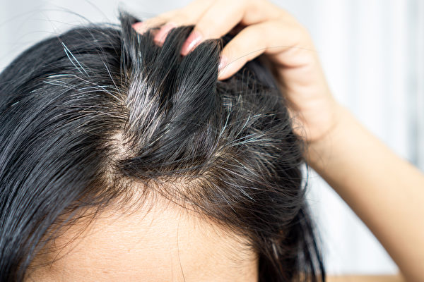 遗传、体内氧化压力等因素都会让人提早长白发、让白发变多。(Shutterstock)
