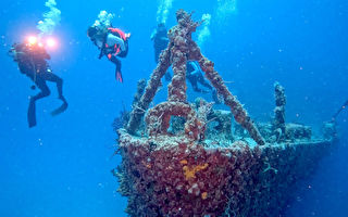 组图：美潜水员重访变成珊瑚礁的著名沉船