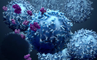 英國的研究人員意外地發現了一種免疫細胞，它似乎有能力殺死多種癌細胞。(Shutterstock)
