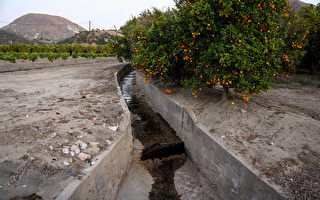 加州遇128年来最大干旱 各地限水