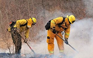 新泽西南部发生大火 13,500多亩森林被烧毁