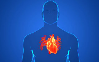 心臟問題1個月痊癒？哈佛研究證實心包經或存在