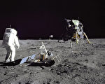 NASA令波士頓拍賣行歸還月球灰塵和死蟑螂