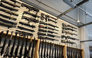 美參院共和黨人阻止禁撞火槍托法案推進