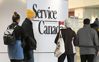 十萬多加拿大人遲領就業保險福利