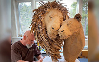 艺术家将旧纸箱变成细腻逼真的狮子雕塑