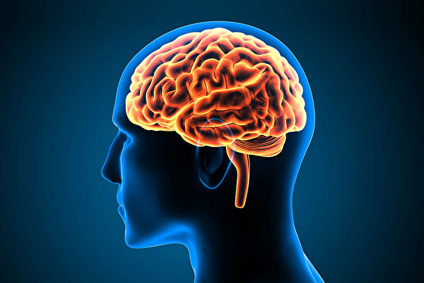 新冠病毒可损害认知能力，相当于让大脑“衰老20年”，如何逆转衰老？(Shutterstock)
