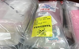 五天十人吸毒過量亡 多倫多衛生局發警告