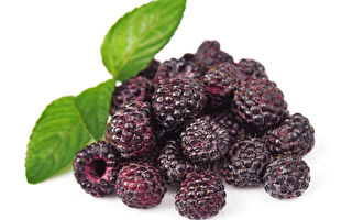 降血壓防糖尿病 黑樹莓6大驚人健康功效