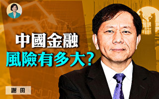 【方菲访谈】谢田：中国金融领域风险有多大？