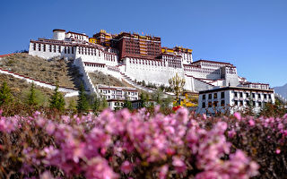 西藏新疆爆疫情 日喀則封城 布達拉宮關閉