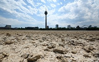 专家：欧洲恐正面临500年来最严重干旱
