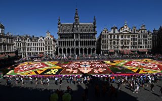 组图：40万朵花构成 比利时展出巨型花毯