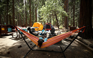 加州或成為第一個禁止露營者使用1磅丙烷罐的州