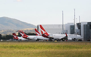 澳航改善堪培拉-悉尼服務 航班取消率大減