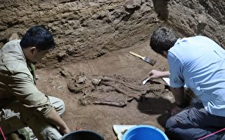 惊人发现 3万年前人类可实施精湛截肢手术