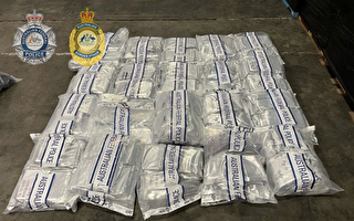 海运咖啡豆藏200公斤毒品被查获 价值近2亿