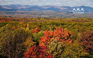 纽约金斯顿被评为美国观赏秋叶的最佳地点之一