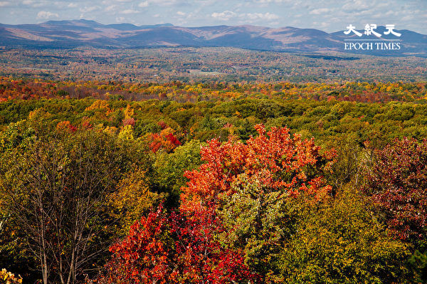 纽约金斯顿被评为美国观赏秋叶的最佳地点之一