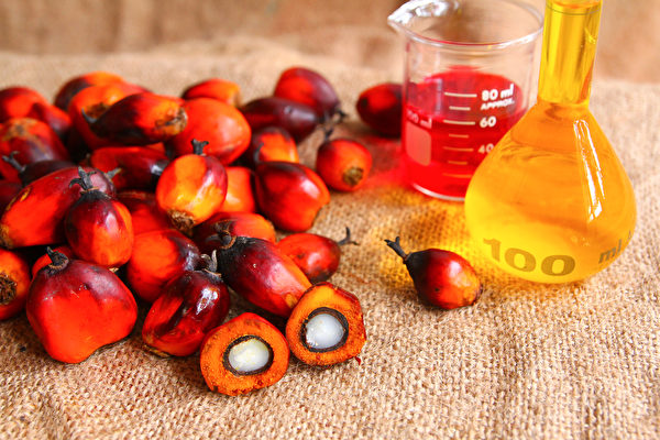 棕櫚油經過高溫脫臭、脫色，易產生單氯丙二醇酯、縮水甘油酯。(Shutterstock)