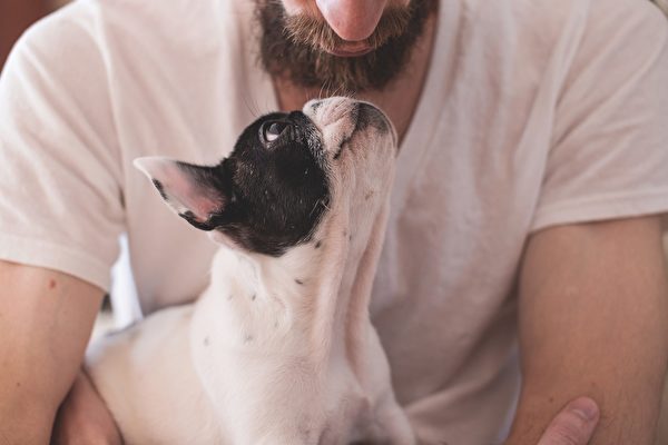 研究：小狗可以聞出人們感受到的壓力