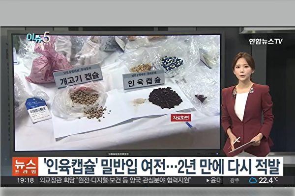 違反人倫 中國胎兒屍體製成人肉膠囊再現韓國