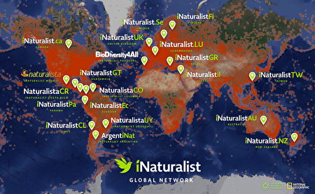《爱自然·台湾》观察平台2022年10月3日起成为iNaturalist国际网路最新成员。（照片来源为iNaturalist官方网站）