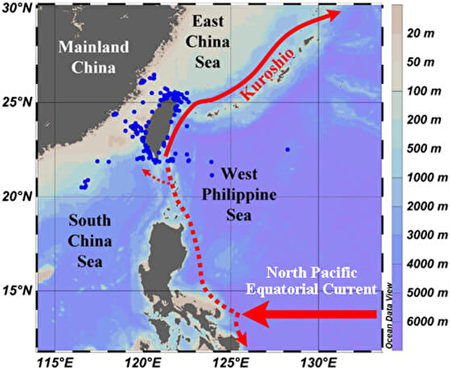 图为研究团队采样台湾周遭海域的铯134、铯137及其输送情况。