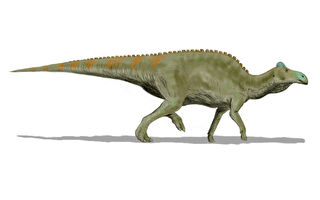 罕见“恐龙木乃伊”身上惊见远古鳄鱼咬痕