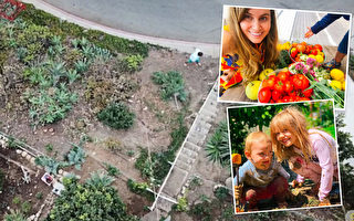 庭院荒地变大型蔬果园 夫妇为社区提供食物