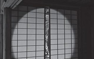 内行人才知的看点 京都寺庙窗户蕴光影艺术