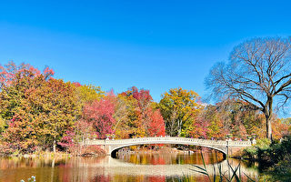 组图：纽约市区秋色“枫”情万种