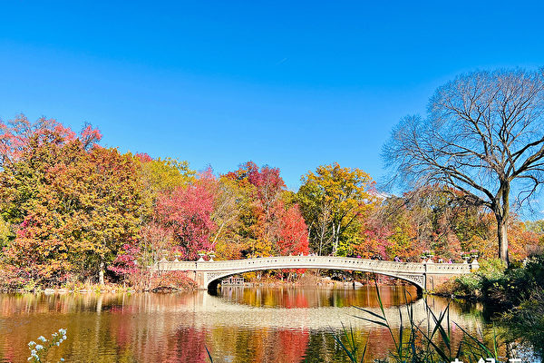 组图：纽约市区秋色“枫”情万种