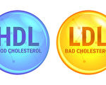 新研究質疑HDL膽固醇能否預測心血管疾病