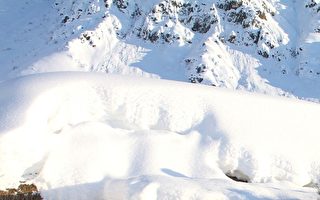 新疆大雪 男子开门发现积雪比人高