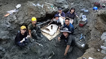 鲸鱼化石挖掘团队，除了科博馆和德国巴伐利亚动物学搜藏中心，还有师大、文化、中兴、成大、东海、亚洲大学及华盛顿高中等学生参与。