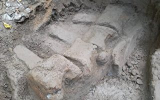 恒春河谷出土8.5万年前 台湾史上最完整鲸鱼化石