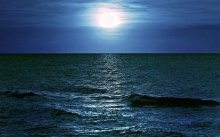 詩歌：海邊夜色