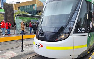 公交準點率未達標 墨爾本僅少數乘客獲補償