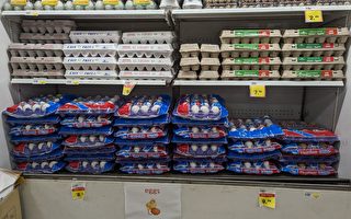 鸡蛋价格不断飙升 美农场组织呼吁调查