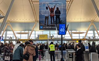 新研究：旅客需要提前3小時抵達紐約肯尼迪機場