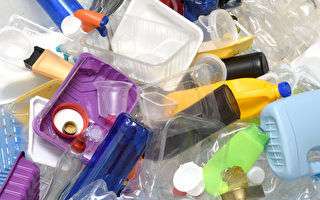 肯恩大学生四个月内收集近430磅塑料垃圾
