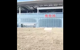 河北雄安新区火车站被曝长满野草 视频热传