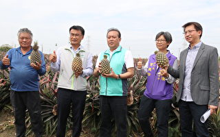 陳吉仲訪鳳梨冷鏈產銷供應 讚韌性農業典範