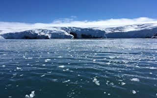 智利女子在南极冰水中游2.5公里 史上第一人