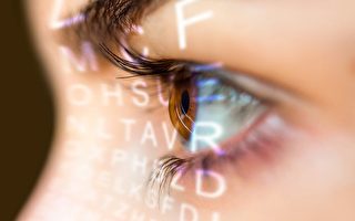 幹細胞模型揭示青光眼治療的祕密