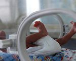 嬰兒被摘腎 專家：恐淪為中共生產器官的機器