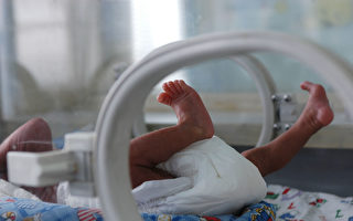 嬰兒被摘腎 專家：恐淪為中共生產器官的機器