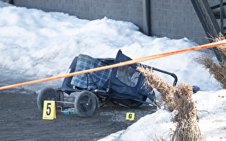 魁省小鎮皮卡司機故意沖撞行人 兩死九傷